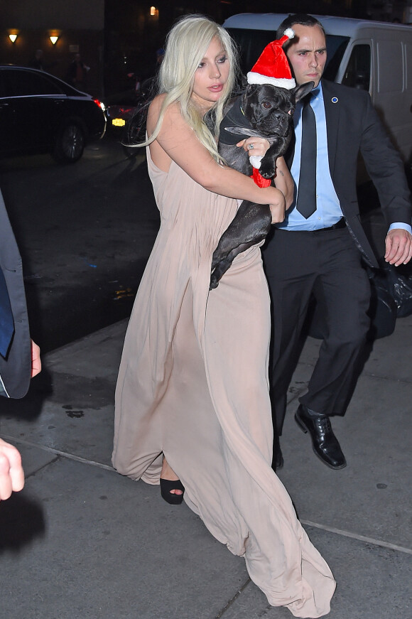 Lady Gaga et son compagnon Taylor Kinney arrivent avec leurs chiens, Miss Asia and Koji déguisés en père Noël à New York le 11 décembre 2015.  Singer and actress Lady Gaga and fiance Taylor Kinney carry their dogs, Miss Asia and Koji, into their apartment in New York City, New York on December 11, 2015. The pair were returning home from being at the Billboard awards. 