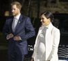 Le prince Harry et Meghan Markle, enceinte, arrivent au musée d'histoire naturelle pour assister à la soirée de gala The Wilder Earth à Londres