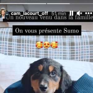 Camille Lacourt partage des photographies de ses animaux de compagnie sur Instagram.