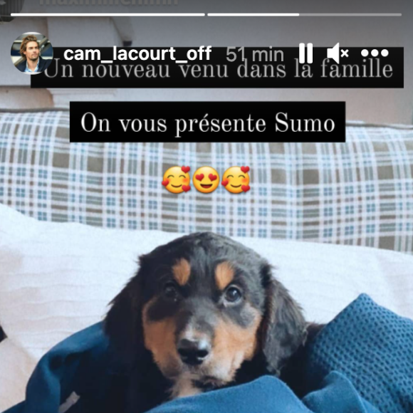 Camille Lacourt partage des photographies de ses animaux de compagnie sur Instagram.