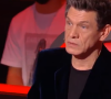 Marc Lavoine "en colère" contre ses Talents dans "The Voice" - TF1
