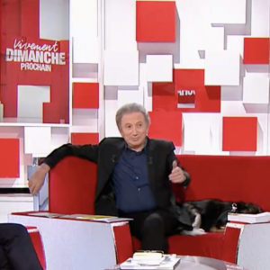 Michel Drucker évoque sa perte de poids avec Jean-Michel Cohen dans "Vivement dimanche" - France 2