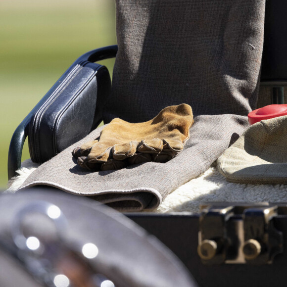 Les gants sur la calèche du prince Philip, duc d'Edimbourg, et ses deux chevaux Balmoral Nevis et Notlaw Storm - Arrivées aux funérailles du prince Philip, duc d'Edimbourg à la chapelle Saint-Georges du château de Windsor, le 17 avril 2021.