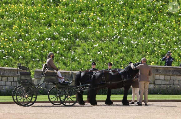 La calèche du prince Philip, duc d'Edimbourg, et ses deux chevaux Balmoral Nevis et Notlaw Storm - Arrivées aux funérailles du prince Philip, duc d'Edimbourg à la chapelle Saint-Georges du château de Windsor, le 17 avril 2021.