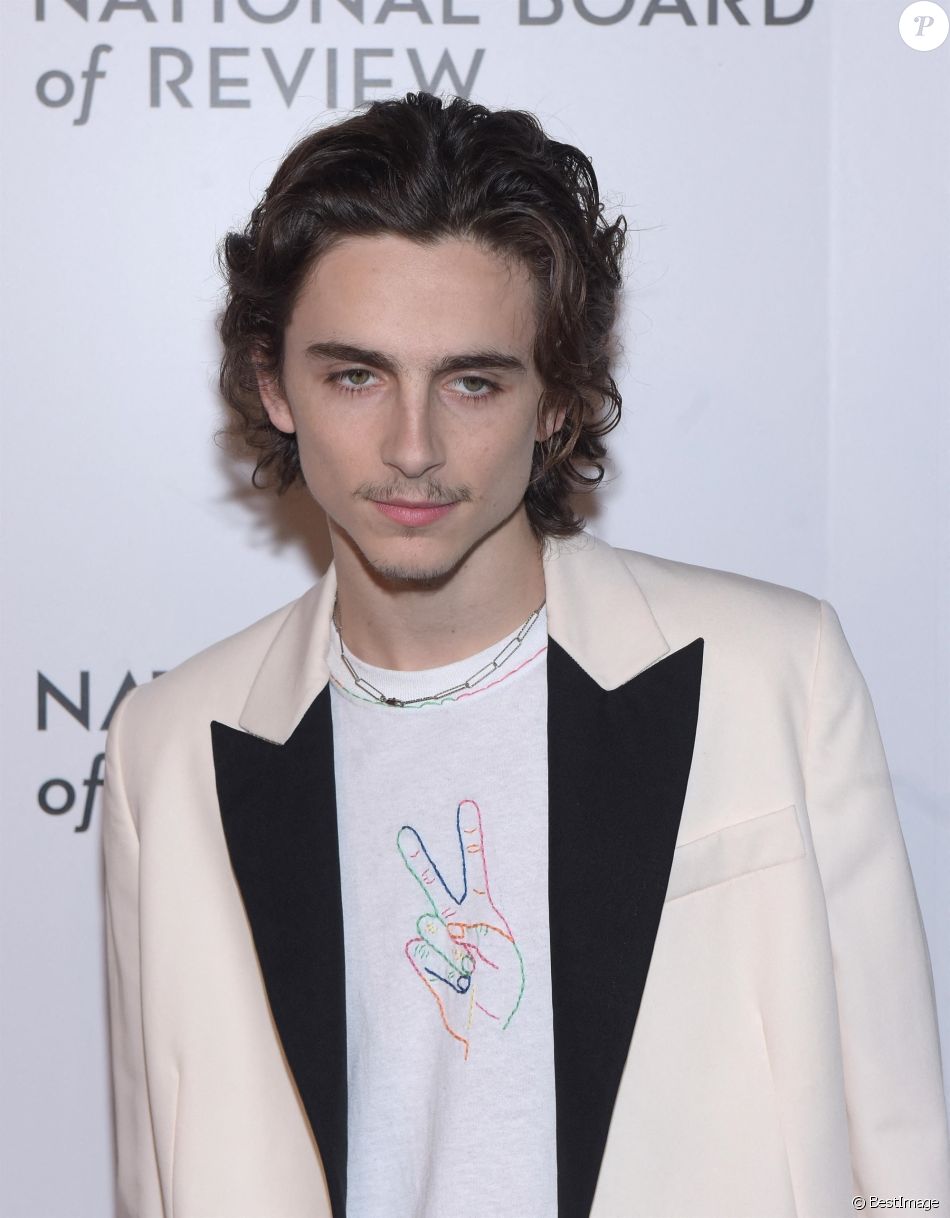 Timothée Chalamet lors du photocall de la soirée de gala des "2020 National Board of Reviews Awards" à New York City, New York, Etats-Unis, le 8 janvier 2020.