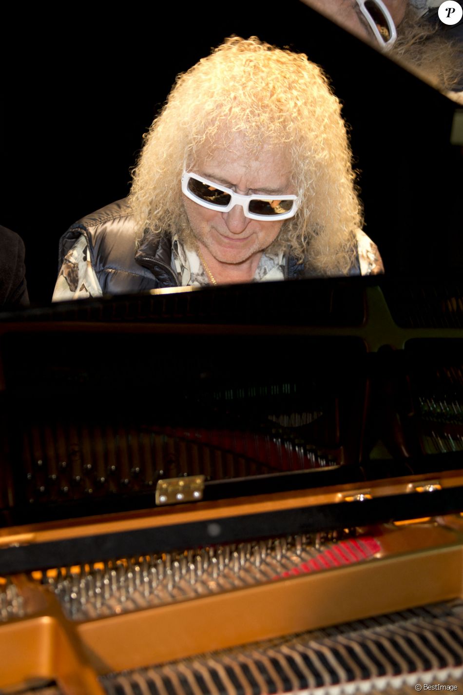Michel Polnareff - Inauguration du centre culturel Michel Polnareff à Fontenay-Trésigny, le 25 novembre 2016.