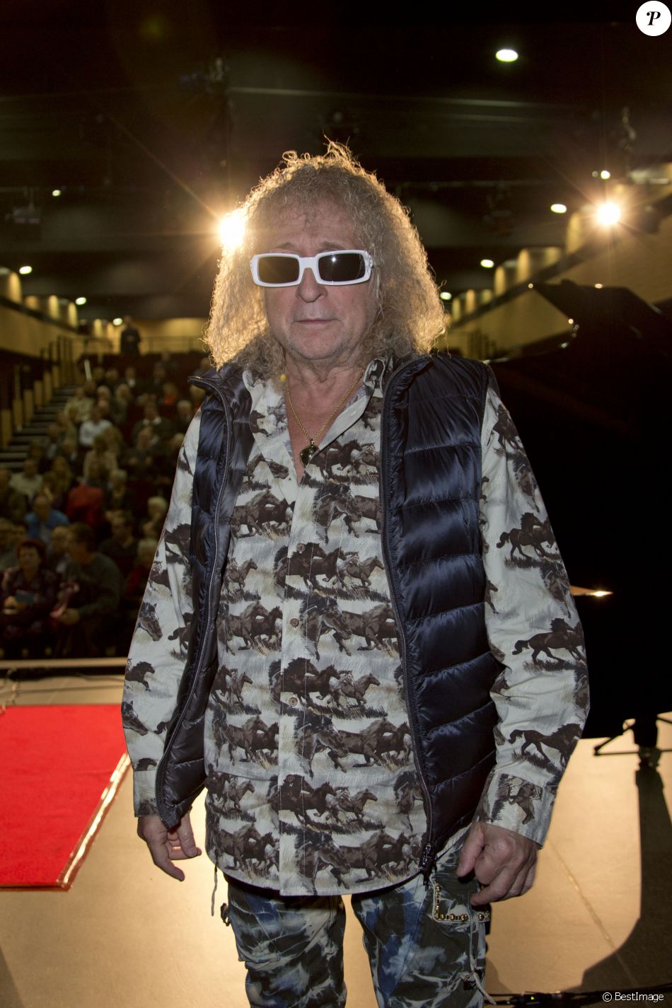 Michel Polnareff - Inauguration du centre culturel Michel Polnareff à Fontenay-Trésigny, le 25 novembre 2016.