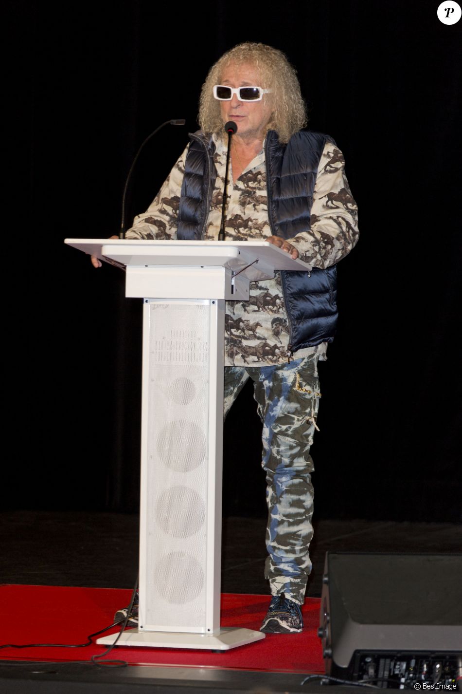 Michel Polnareff - Inauguration du centre culturel Michel Polnareff à Fontenay-Trésigny, le 25 novembre 2016.