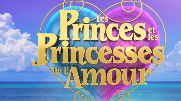 Les Princes de l'amour : Prison ferme pour un ex candidat accusé de violences conjugales