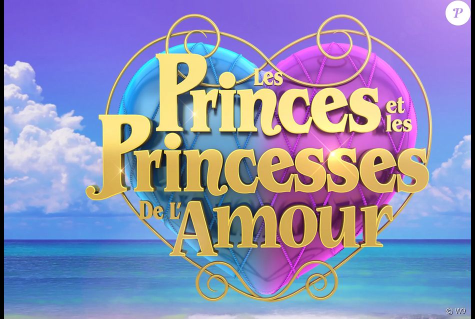 Image officielle des "Princes et des princesses de l'amour" (W9)