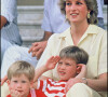 Archives - La princesse Lady Diana et ses fils les princes Harry et William à Majorque.