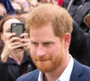 Le prince Harry, duc de Sussex, et Meghan Markle, duchesse de Sussex, ont été accueillis par une foule de supporters au Viaduct Harbour à Auckland, Nouvelle-Zélande, le 30 octobre 2018.