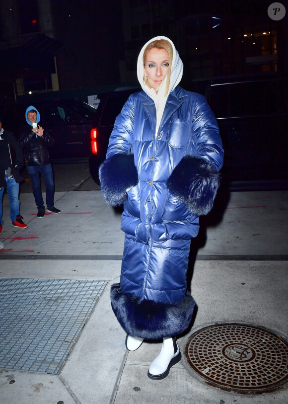 Céline Dion brave le froid de New York avec une maxi doudoune le 7 mars 2020.