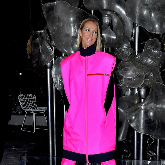 Céline Dion prend la pose pour les photographes après son show au Barclay's Center à New York, le 5 mars 2020.