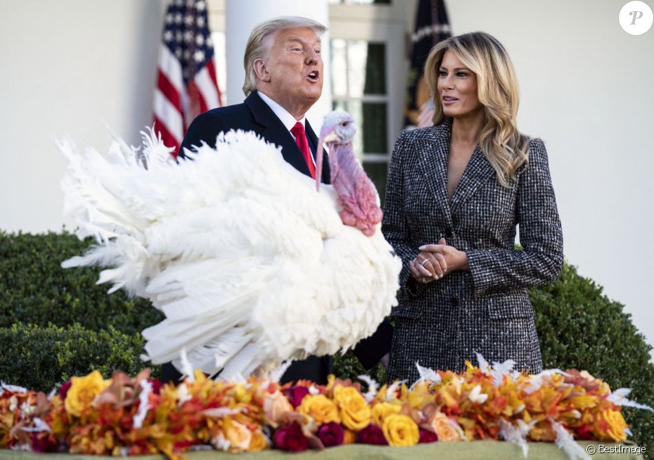 Le président Donald Trump et sa femme Melania lors de la cérémonie de pardon avec la dinde graciée Corn à la Maison Blanche le 24 novembre 2020.