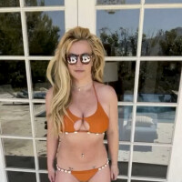 Britney Spears libre et topless sur Instagram : elle subjugue ses fans