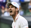 Andy Murray remporte le match contre le Géorgien Nikoloz Basilashvii (6-4, 6-3, 5-7, 6-3) à Wimbledon, quatre ans après son dernier match sur le gazon anglais.