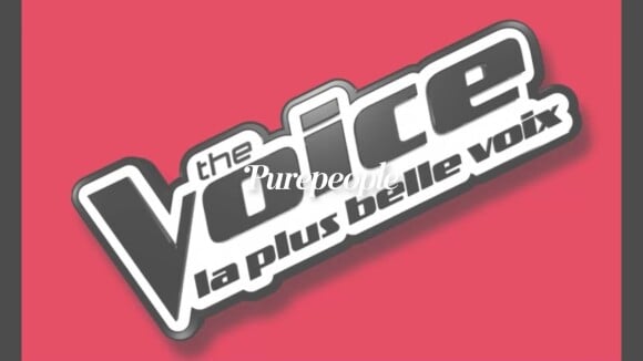 The Voice, un show "trop calculé" ? Un coach emblématique ne reviendra plus jamais