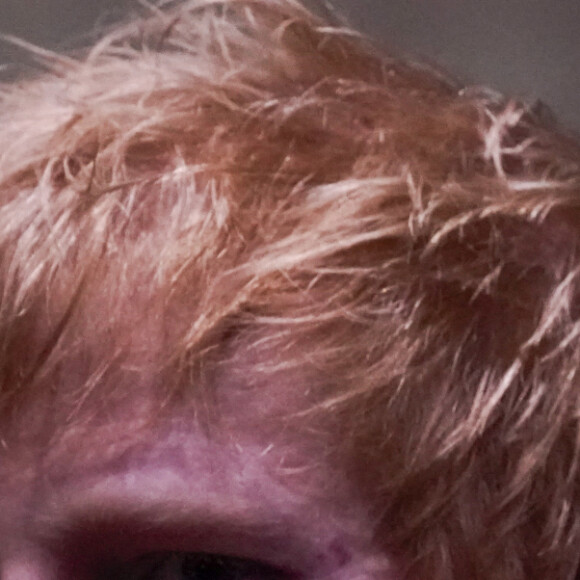 Ed Sheeran - Première cérémonie de remise des prix Earthshot au Palace Alexandra à Londres le 17 octobre 2021.