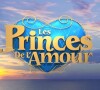 Logo des "Princes de l'amour", émission de W9