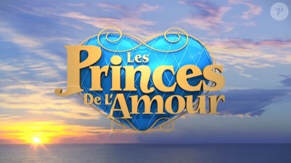 Logo des "Princes de l'amour", émission de W9