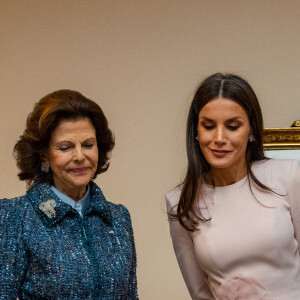 La reine Letizia d'Espagne et la reine Silvia de Suède assistent à un séminaire sur la langue, la littérature et la traduction à la Bibliothèque Bernadotte du Palais royal de Stockholm, le 25 novembre 2021.