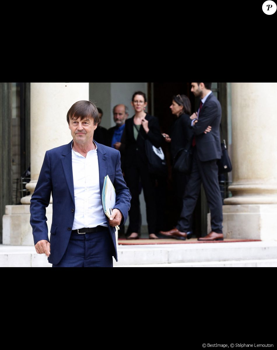 Le ministre de la Transition écologique et solidaire Nicolas Hulot - Les représentants des ONG quittent le palais de l'Elysée après un entretien avec le président à Paris le 5 septembre 2017.