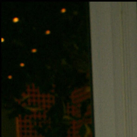 Valérie Mairesse au Bristol, à Paris, en 2003.