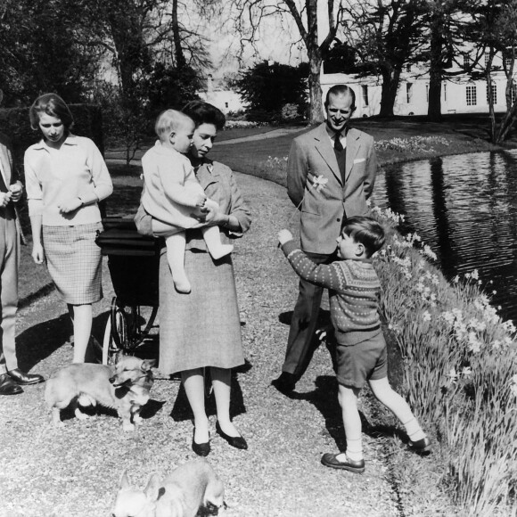 La reine Elisabeth II d'Angleterre, le prince Philip, duc d'Edimbourg, et leurs enfants, le prince Charles, la princesse Anne, le prince Edward et le prince Andrew promènent leurs corgis, en 1965.