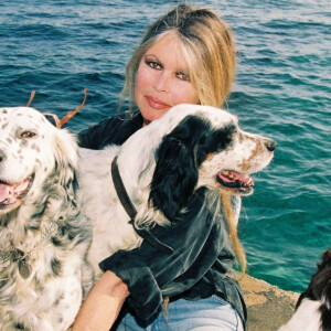 Brigitte Bardot avec ses chiens à Saint-Tropez en 1993