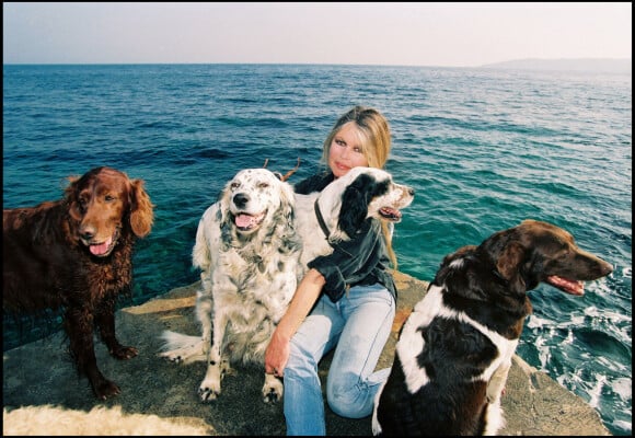 Brigitte Bardot avec ses chiens à Saint-Tropez en 1993