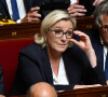 Louis Aliot, sa compagne Marine Le Pen et Gilbert Collard lors d'une séance de questions au gouvernement à l'Assemblée Nationale à Paris, le 5 juillet 2017