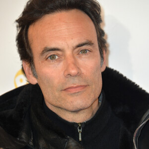 Anthony Delon à l'avant-première du film "Mon Bébé" au cinéma Gaumont Opéra (côté Capucines) à Paris, France, le 11 mars 2019. © Veeren/Bestimage 