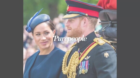 Meghan Markle et le prince Harry aux Pays-Bas : le couple privés d'un haut privilège...