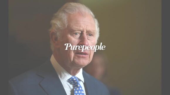 Le Prince Charles "le coeur brisé" : les coulisses de son échange tendu avec Harry révélées
