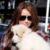 Miley Cyrus et son adorable chien à Los Angeles, le 23 janvier 2010