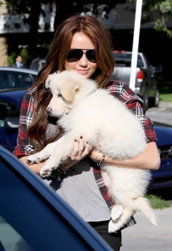 Miley Cyrus et son adorable chien à Los Angeles, le 23 janvier 2010