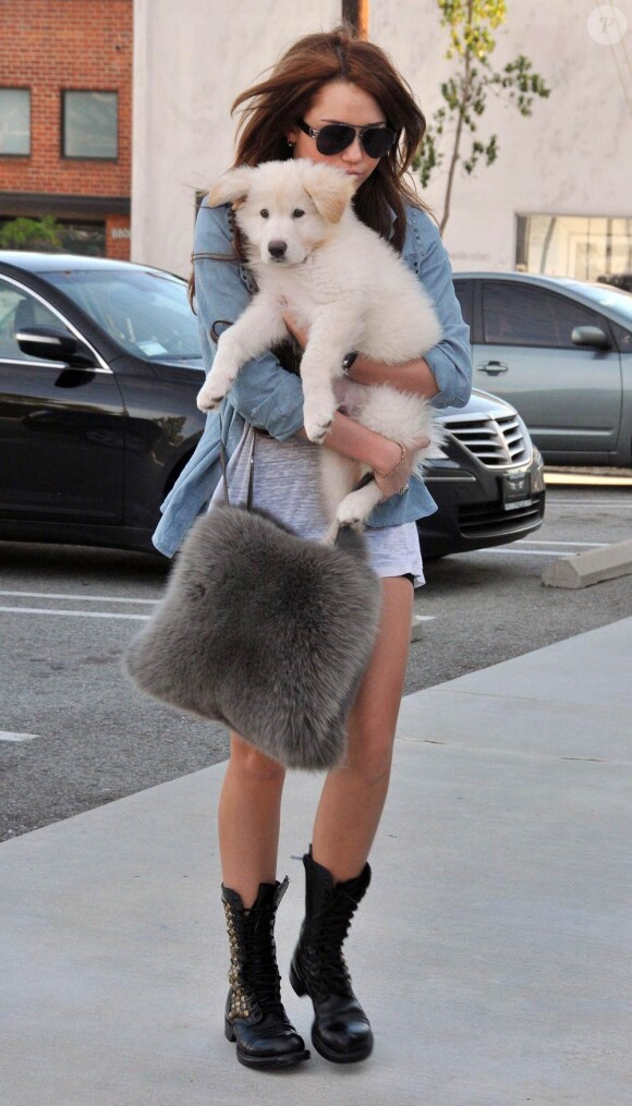 Miley Cyrus et son adorable chien à Los Angeles, le 24 janvier 2010