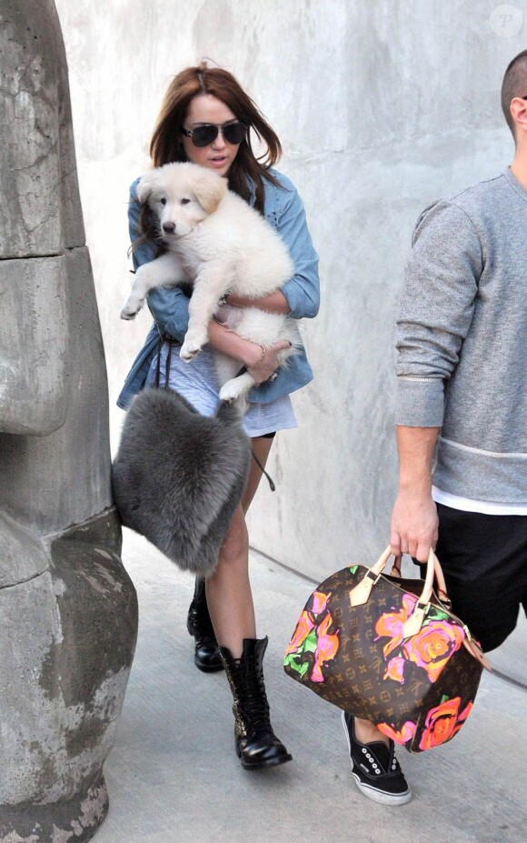 Miley Cyrus et son adorable chien à Los Angeles, le 24 janvier 2010