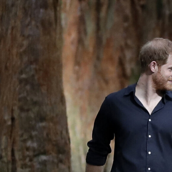 Le prince Harry, duc de Sussex et Meghan Markle, duchesse de Sussex (enceinte) visitent le site Redwoods Tree Walk à Rotorua, Nouvelle Zélande le 31 octobre 2018. 