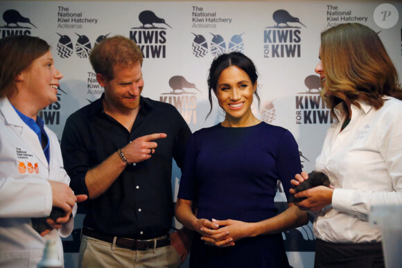 Le prince Harry, duc de Sussex, Meghan Markle, duchesse de Sussex (enceinte) lors de la visite d'un élevage de kiwis à Rainbow Springs , Rotorua en Nouvelle Zélande le 31 octobre 2018. 