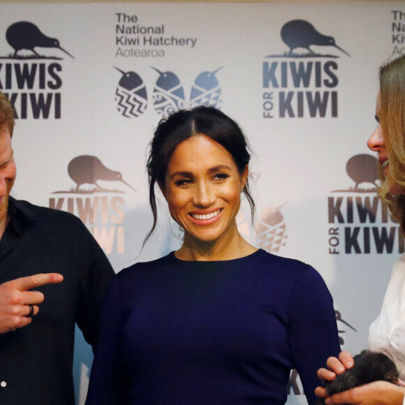 Le prince Harry, duc de Sussex, Meghan Markle, duchesse de Sussex (enceinte) lors de la visite d'un élevage de kiwis à Rainbow Springs , Rotorua en Nouvelle Zélande le 31 octobre 2018. 