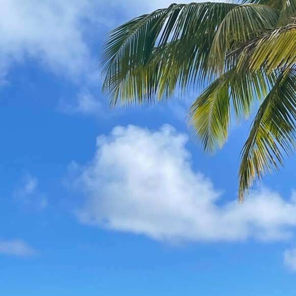 Flavie Flament profite de superbes vacances à l'île Maurice, en mai 2022.