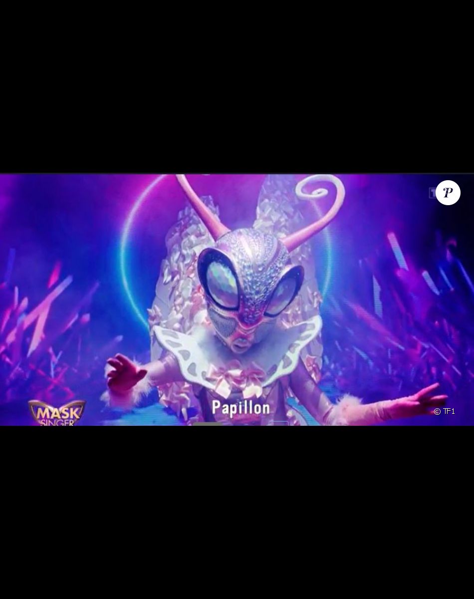 Le Papillon lors de l'émission "Mask Singer 2022" du 8 avril, sur TF1