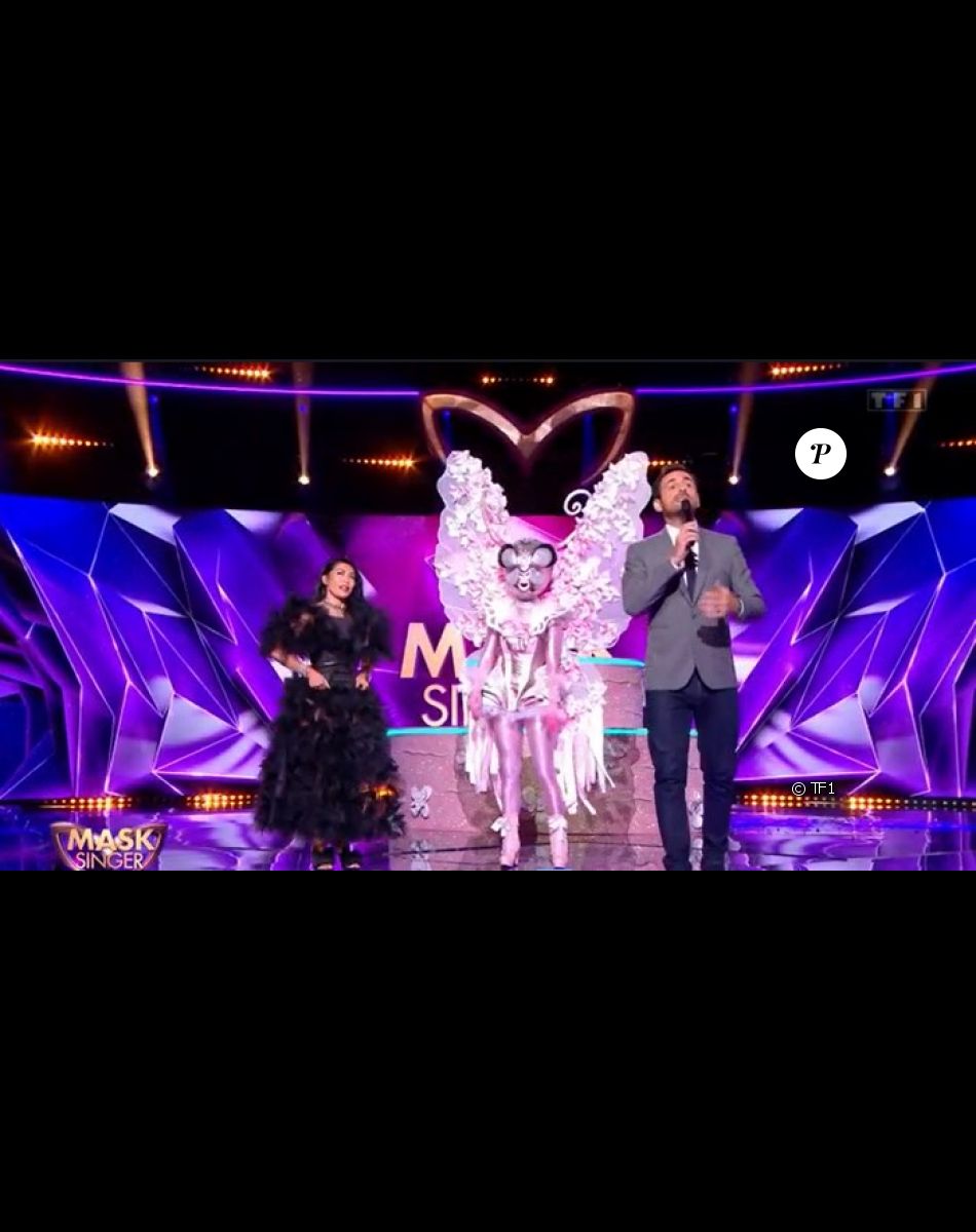 Le Papillon dans l'émission "Mask Singer" du 6 mai 2022.