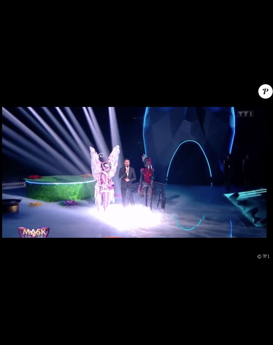 Le Papillon et l'Araignée lors de la finale Mask Singer le 13 mai 2022.