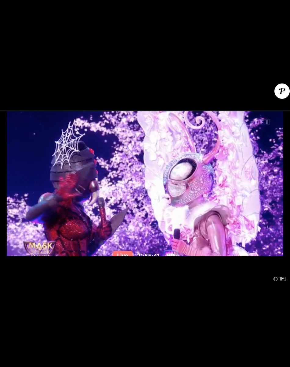 Mask Singer saison 3 - le Papillon lors de la finale du 13 mai 2022.