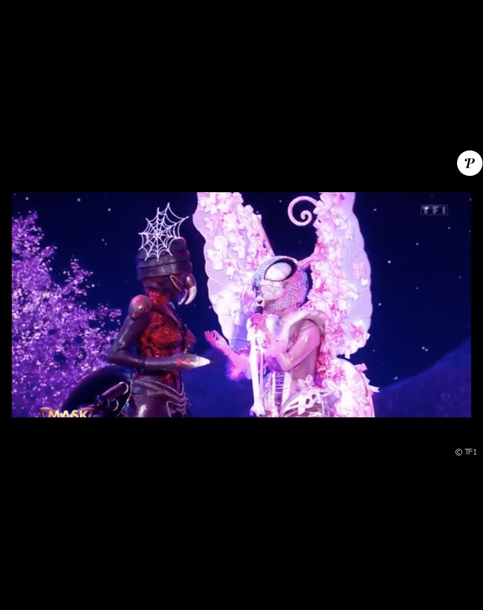 Mask Singer saison 3 - le Papillon lors de la finale du 13 mai 2022.