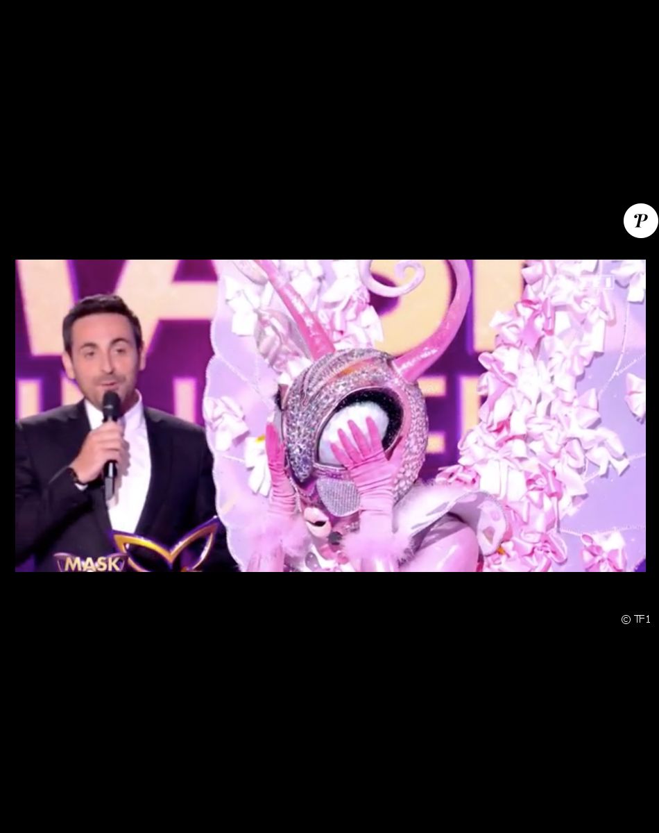 Mask Singer saison 3 - le Papillon démasqué, découvrez qui se cachait derrière le costume
