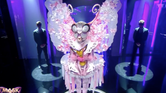 Mask Singer saison 3 - le Papillon grand gagnant : découvrez qui se cachait derrière le costume